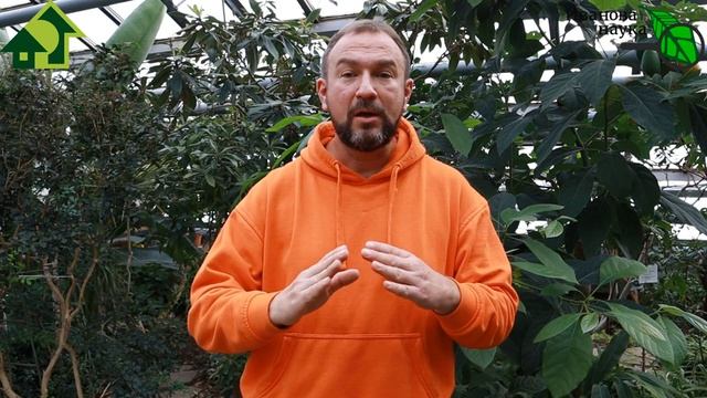 Даже не берите в руки ФУНДАЗОЛ! Дети без глаз, цирроз, рак и язвы - это все безобидный БЕНОМИЛ.