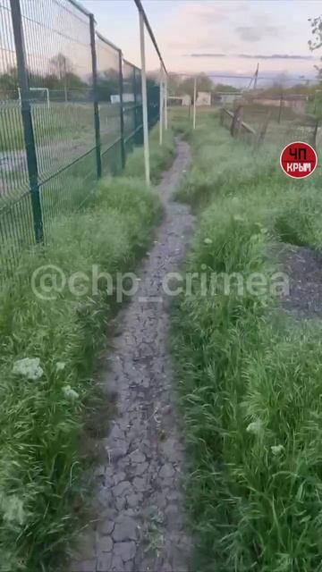 Агрессивный баран проломил забор и насмерть забил 85-летнюю женщину в Крыму