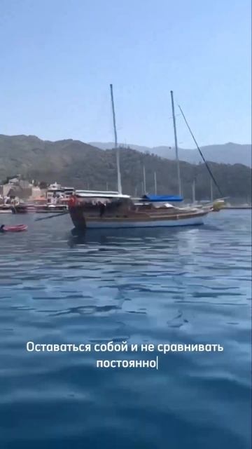 Главная задача бацзы