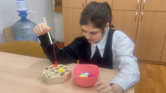 Вебинар: "Система оценки достижений планируемых результатов освоения АООП(вариант2)".