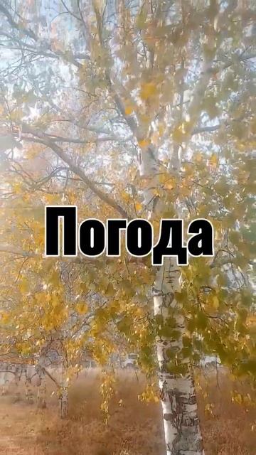 #Погода плюс два.Ветер 6 км в час.Ясно