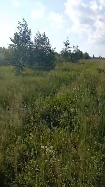 1000032545.mp4