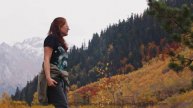 Пейзажи качают сердце как танец на ветру - Bashful -- Ketsa -- Abundance