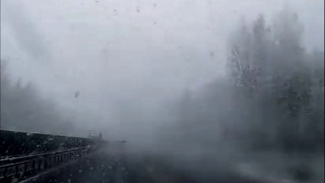 Снова пришли снегопады в Новгородскую область