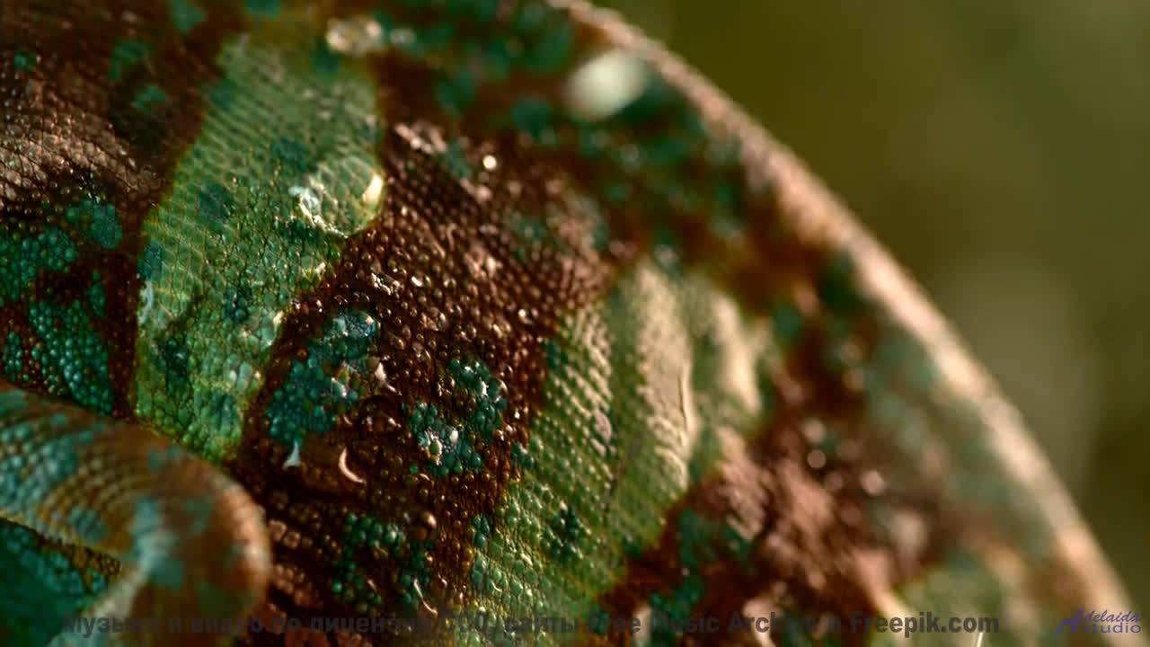 Почему это видео СМОТРЯТ 247 - DreamScape -- HoliznaCC0 -- Space - Sleep - Meditation