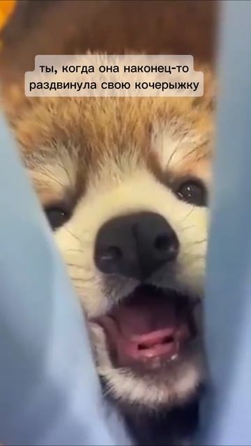 😋😋😋😋