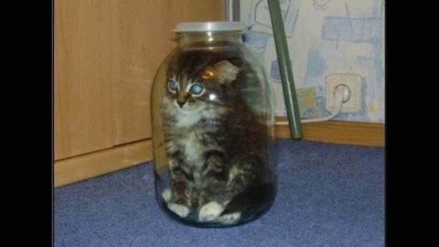 Красивая жизнь