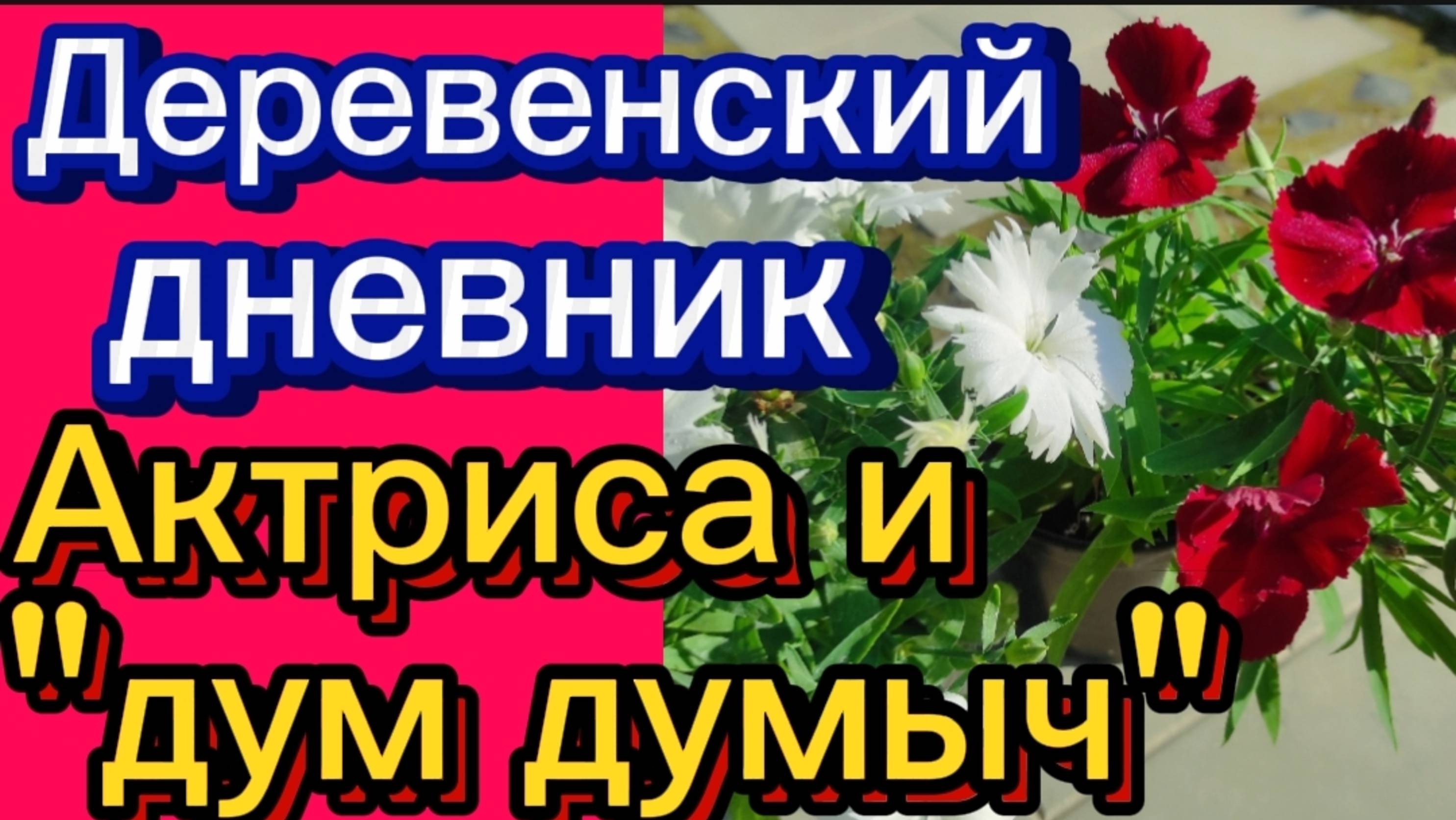 ДЕРЕВЕНСКИЙ ДНЕВНИК. "Постановка и обман. "