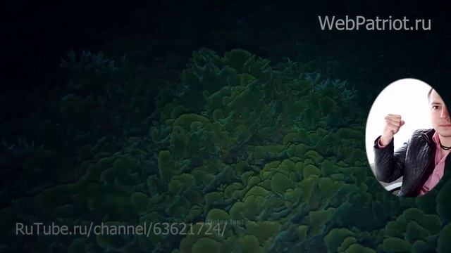 НОЧНАЯ ПОДВОДНАЯ ОХОТА - ОХОТА НА РЫБУ НОЧЬЮ