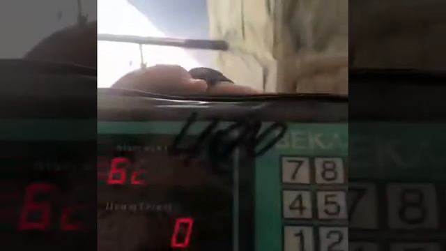 Принц на весах 6.5 мес, вес 60 кг, линия ПИРАТА БАЛКАНСКОГ