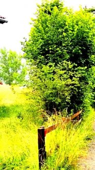 Всё, что скрыто в кадре