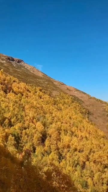 Практика ✨ Согревнование денежной звезды ✨. Что дела?