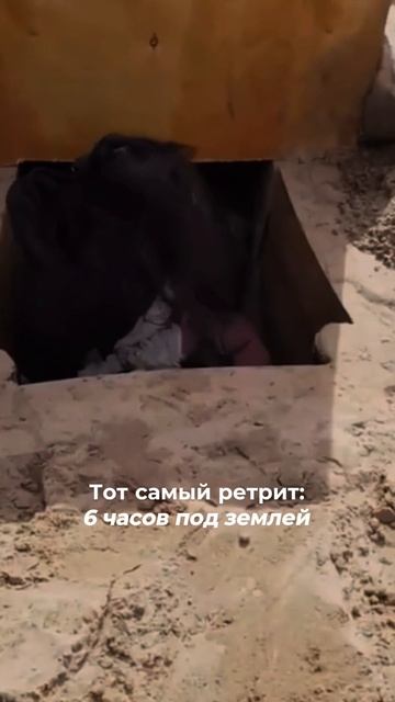 Две недели твоих трансформаций!