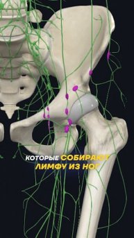 Как избавиться от отеков? При чем здесь опущенный кише