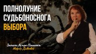 Полнолуние в Скорпионе — выход на новый уровень. Что происходит с электроэнергией и мобильной связью