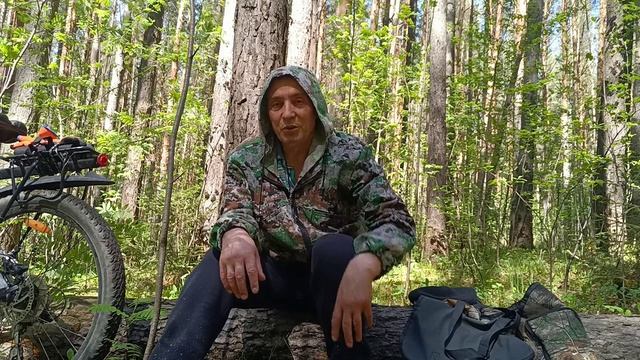 Лесная обитель, куда так хочется пойти.
