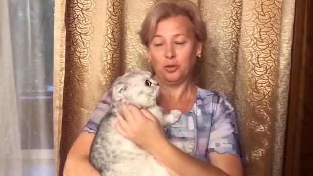 Поздравления на свадьбу