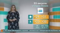 Погода в Старом Осколе на 25 августа