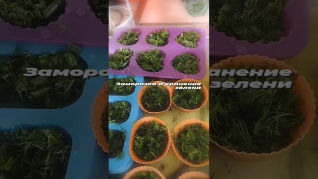 Заморозка и хранение зелени ✅