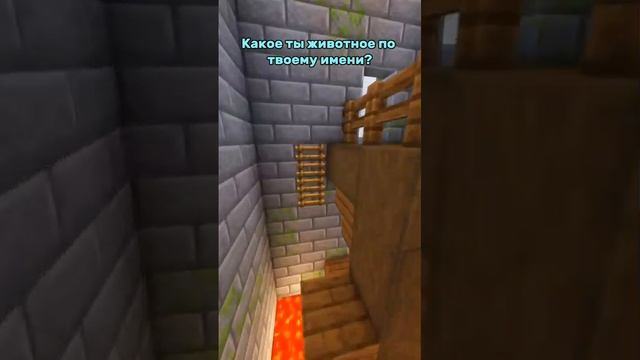 1000008414.mp4