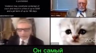Вспомним классику: адвокат из Техаса не разобрался в настройках Zoom и выступил на судебном засед...
