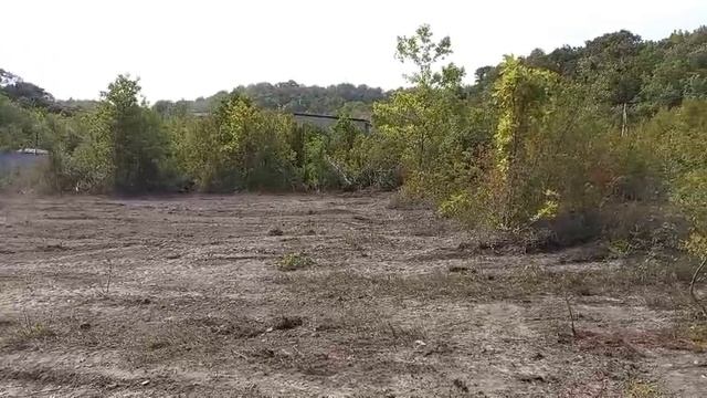 VID-20240916-WA0054