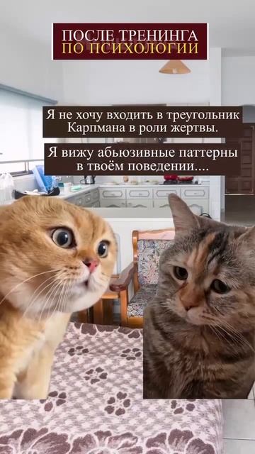 Кто-нибудь уже, поставьте чайник🙋🏼♀️😂