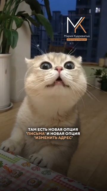МОШЕННИКИ - новый развод через Telegram-бот!