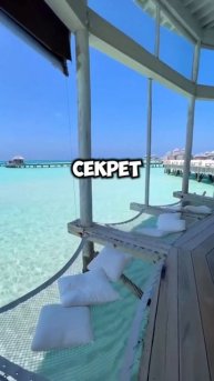 Нейросети для Люксовой Жизни: 15.000 за День даже для Нов?