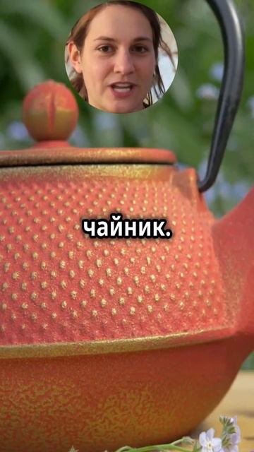 Чай с чабрецом: Полезные свойства и как заваривать