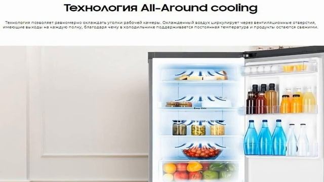 Топ - 5. Лучшие холодильники Samsung 2024
