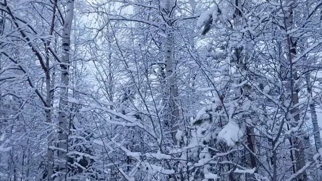 Pogoda v Sibiri Вспомним красавицу зиму в Сибири