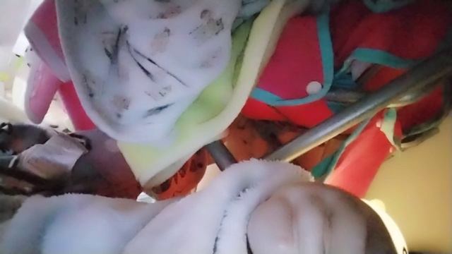 влог с реборном🌻❤ 🦕