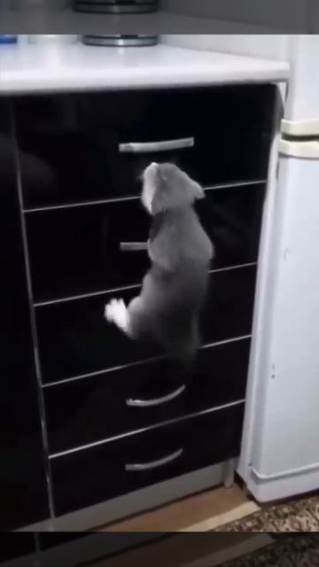 Пацан шёл к успеху 😻😉🤩