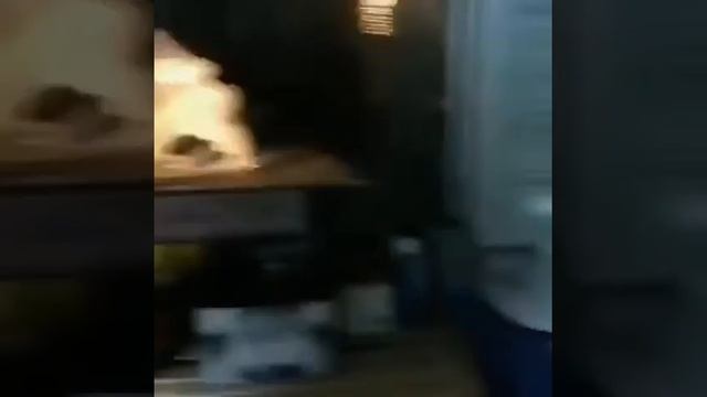 Жарим медицинские маски в микроволновке
