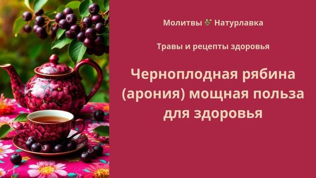 Черноплодная рябина (арония) мощная польза для здоровья.