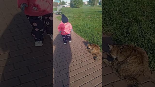 Поехали сдавать кровь