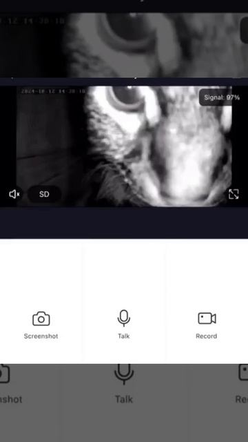 Гипноз кормушки не состоялся 🤣