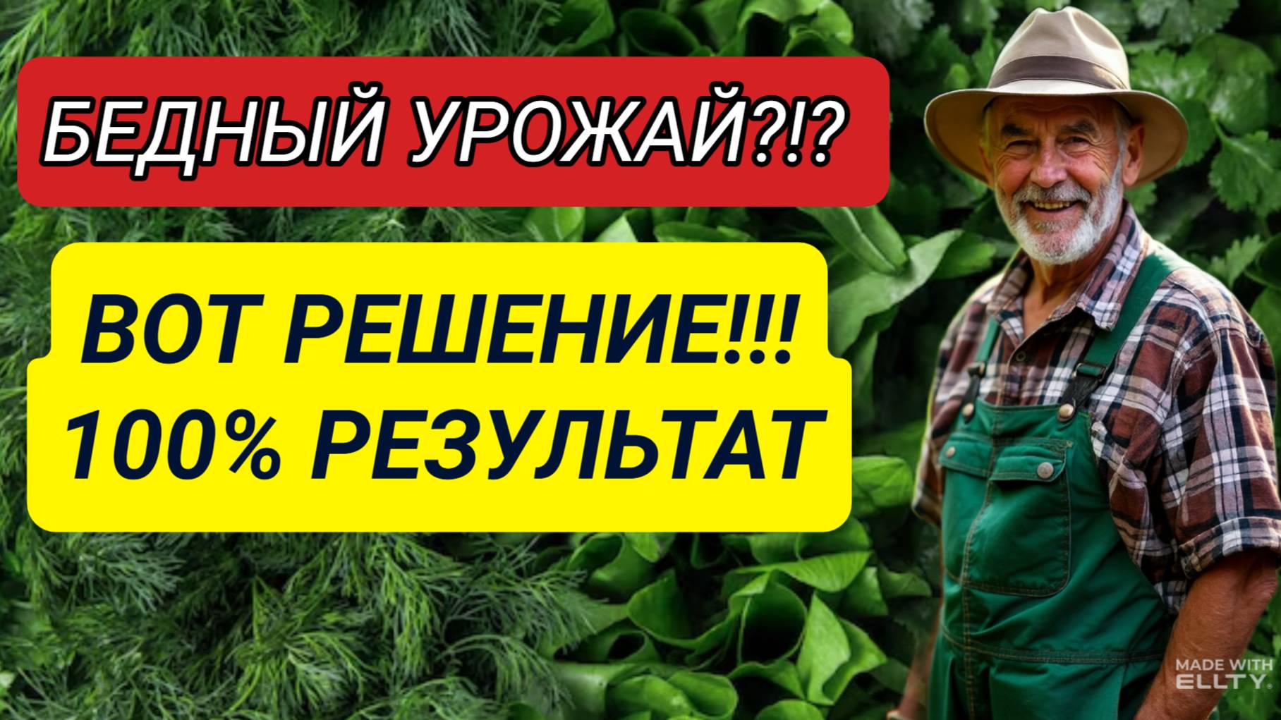 ВАШИ ДЕРЕВЬЯ БОЛЕЮТ? ВОТ ПРОСТОЙ СПОСОБ СПАСТИ ИХ БЕЗ ДЕНЕГ!