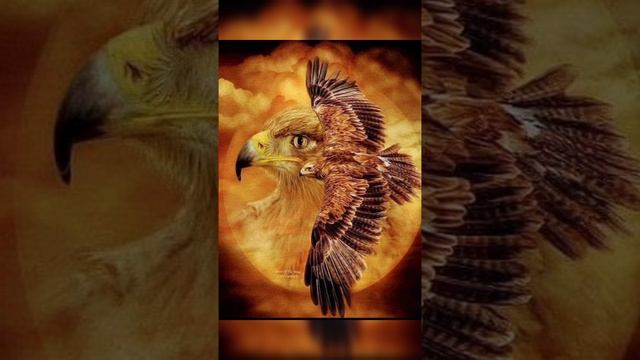 12.5.25.Молитва Благословения🛐💥🕊️🌍🏹⚔️📯💌🌾❤️💯💎✝️🤝🏻⚡🦅🔥👑🛡️🪽💞 Служение Стражей Земли 🌍