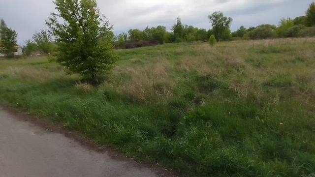 1000095191.mp4