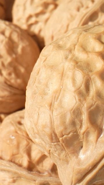 Этот продукт нельзя хранить в холодильнике!
