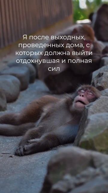 Понедельник поле майских праздников...