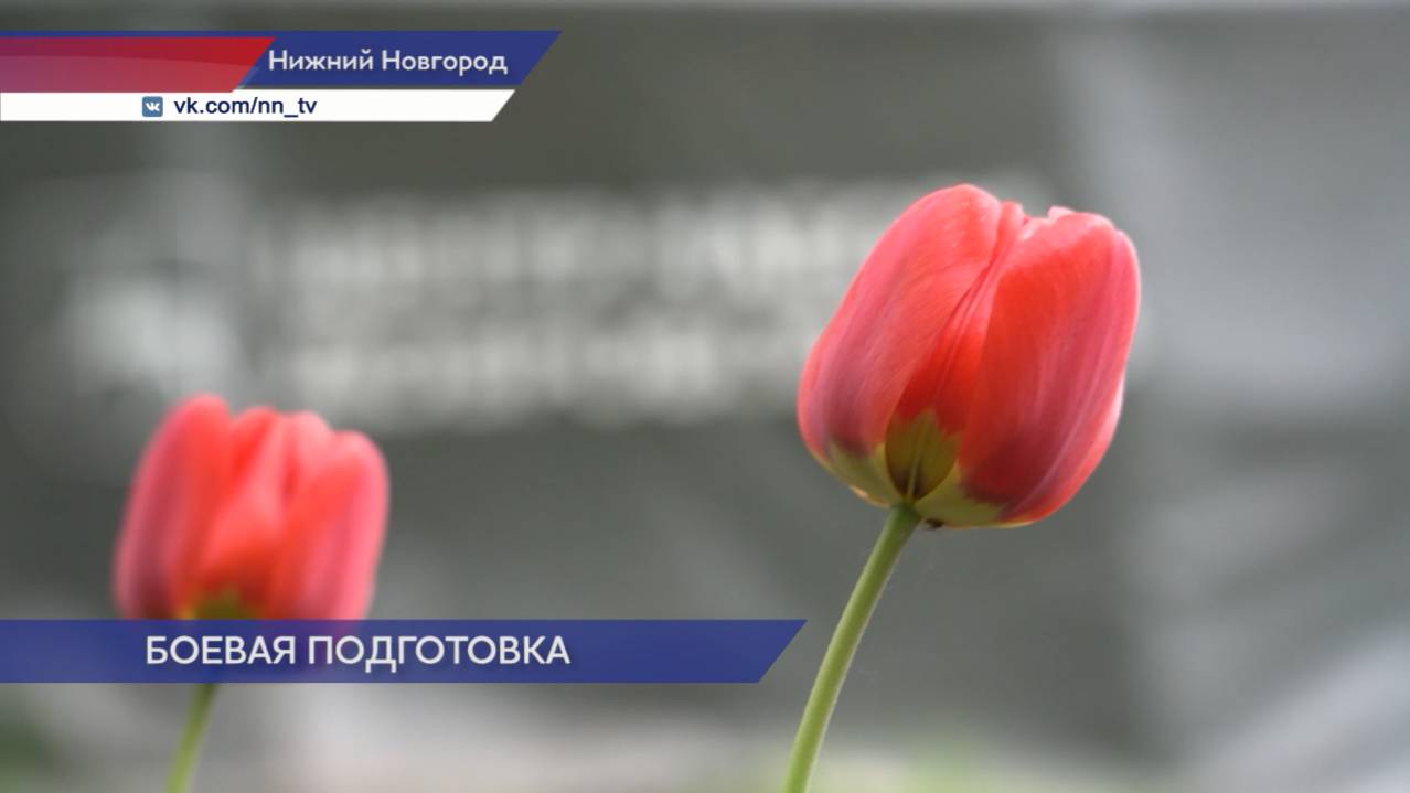 Нижегородские добровольцы отправились на боевую подготовку перед службой в зоне СВО