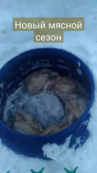 Мясной сезон 2022 открытие, курица броллер. #холодильник