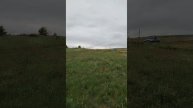 Рыбалка