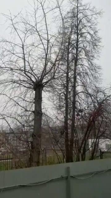 Глупые снежинки❄️ Юра Шатунов ❄️