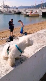 Тёма первый раз видит куркулей #жизньуморя #мальтийск?