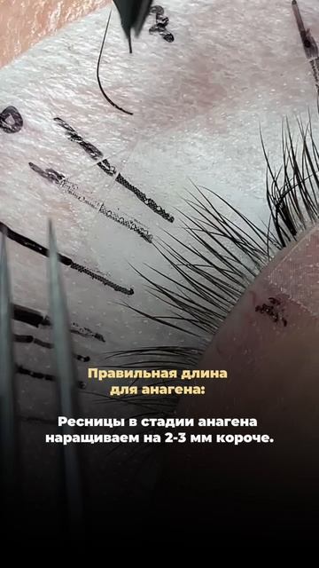 Правила наращивания, которые облегчат работу мастеру!