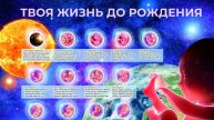 Обучающий Урок «Твоя жизнь до рождения»